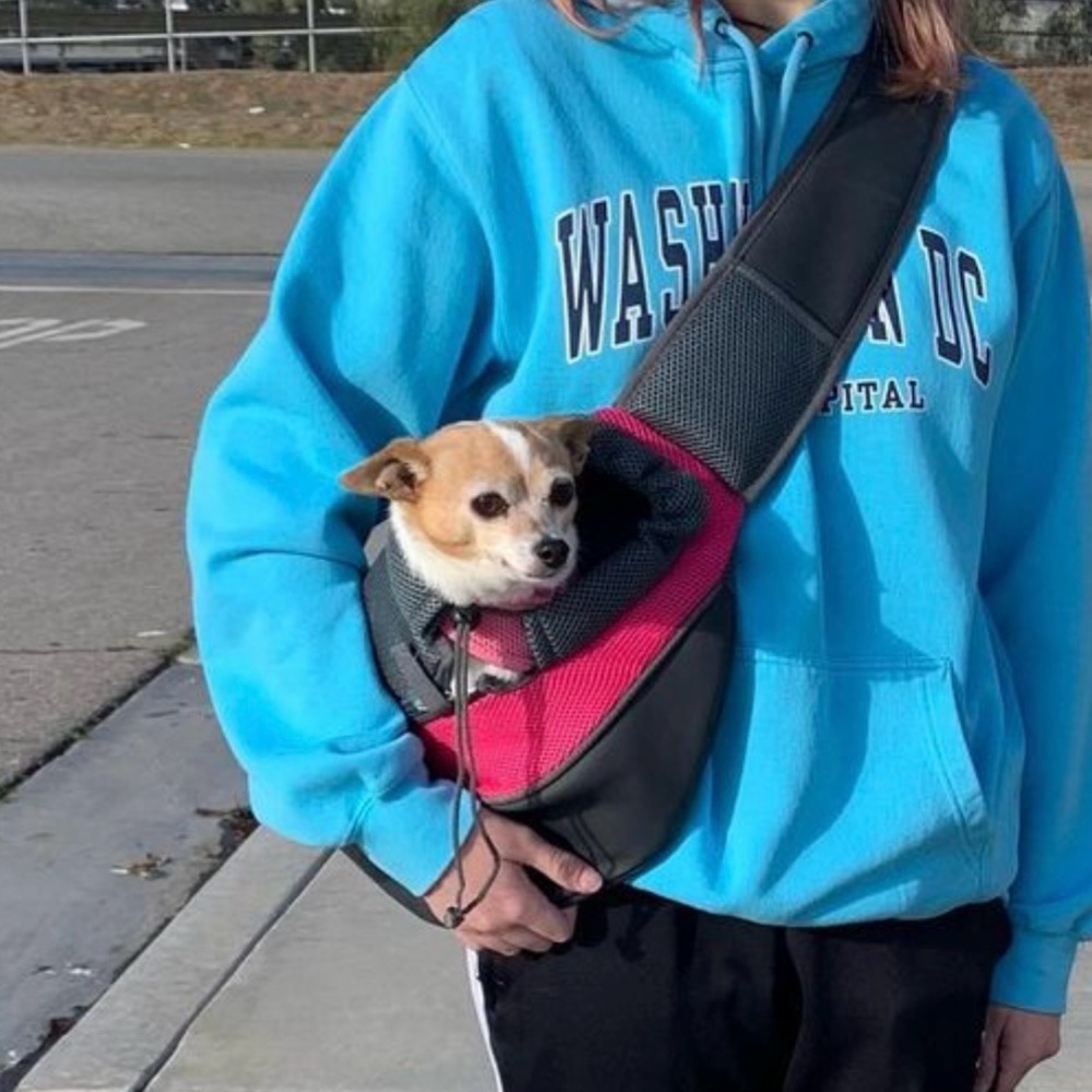 Pet Crossbody Carrier